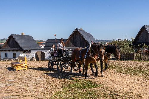 SLAVNOSTI BRAMBOR a farm��sk� trhy - www.webtrziste.cz