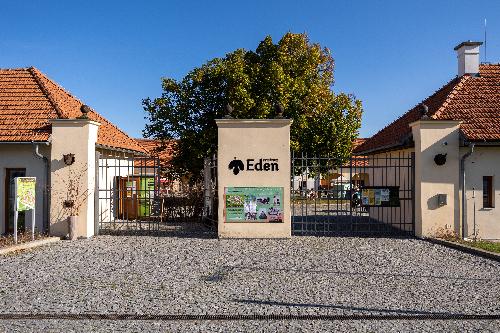 DEN D�T� VSTUP ZDARMA - www.webtrziste.cz