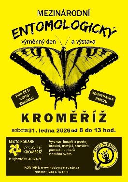 Prodejn� v�stava brouk�, mot�l� a ostatn�ho hmyzu. - www.webtrziste.cz