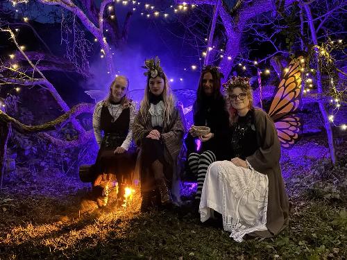 �aroBeltine - www.webtrziste.cz