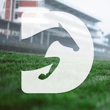 II. kvalifikace na 136. Velkou pardubickou - www.webtrziste.cz