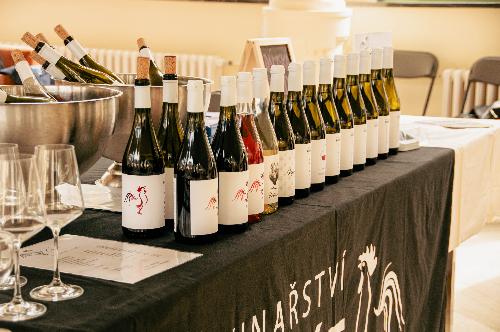 PODZIMN� DEN V�NA - www.webtrziste.cz