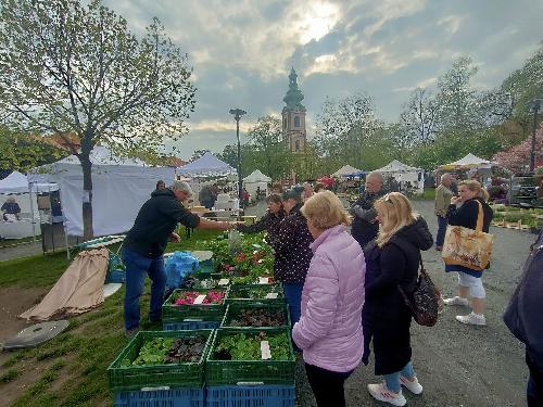 Omlouv�me se, ale obrazek nebyl dod�n