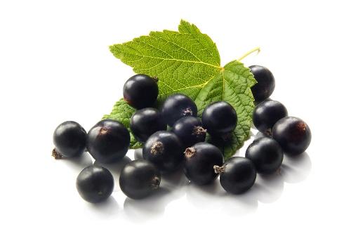 Omlouv�me se, ale obrazek nebyl dod�n