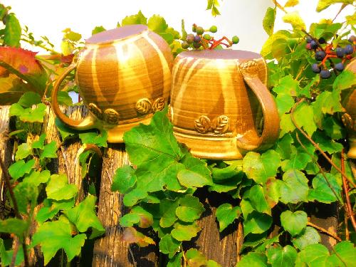 Omlouv�me se, ale obrazek nebyl dod�n