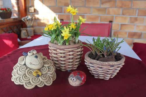 Omlouv�me se, ale obrazek nebyl dod�n